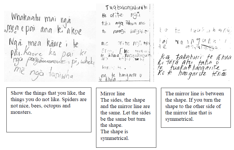 A group of text on paper Description automatically generated